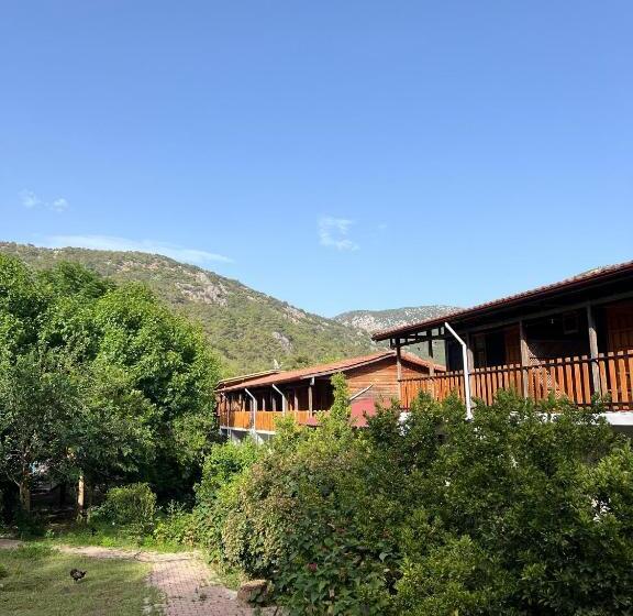 هتل Asmalı Köşk Pansiyon