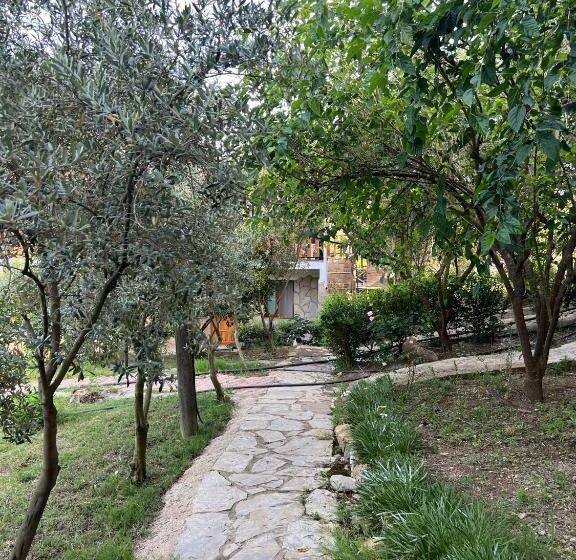 هتل Asmalı Köşk Pansiyon