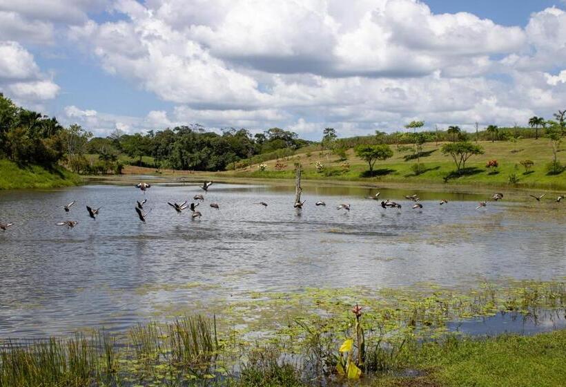 ホテル Ecopaisajes Cabaña Arca