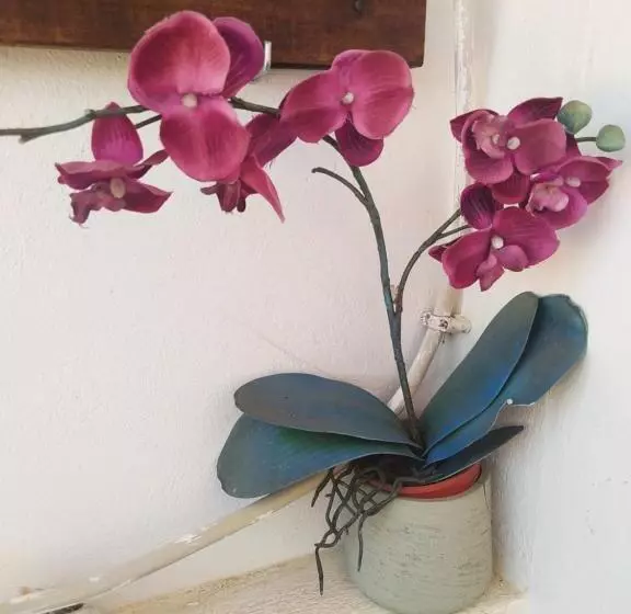 Majatalo Casa Pereira