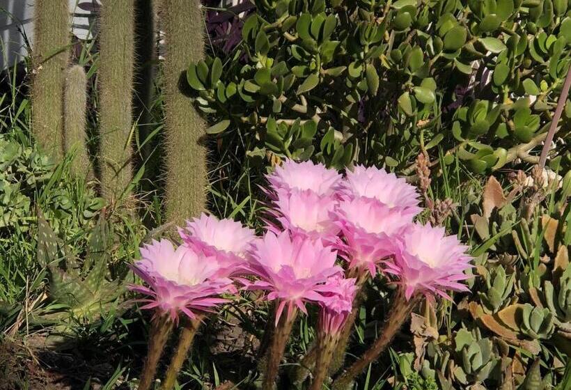 膳宿费 Cozy Suite Near City Of Hope