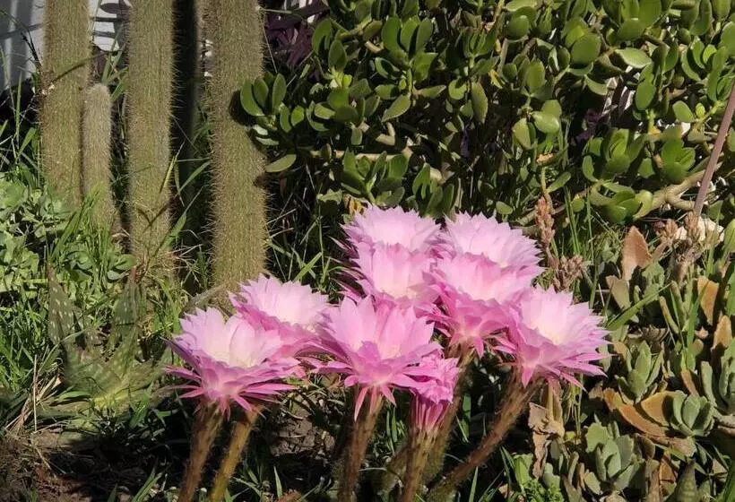 Majatalo Cozy Suite Near City Of Hope