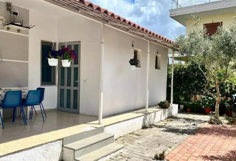 پانسیون Mateo Villa Vlore