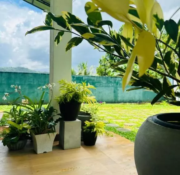 Pensão D Studio Villa