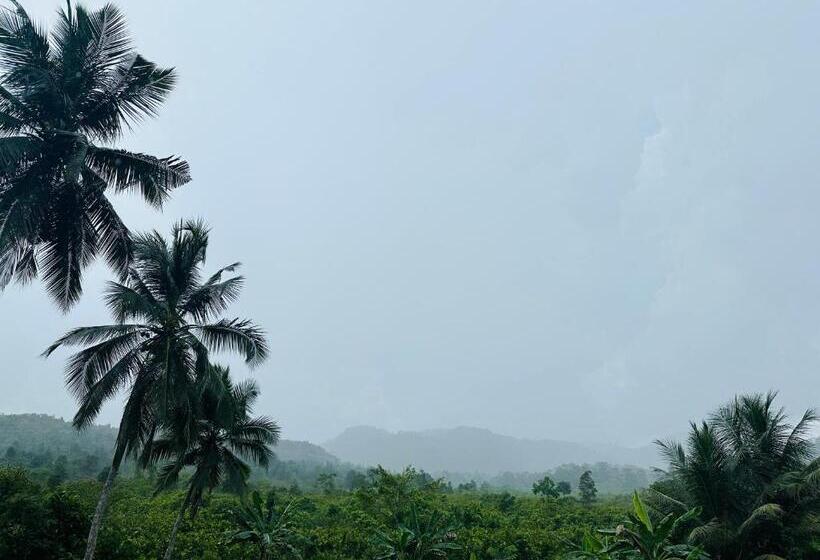 بنسيون D Studio Villa