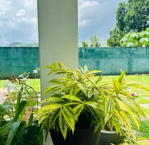 Pensão D Studio Villa