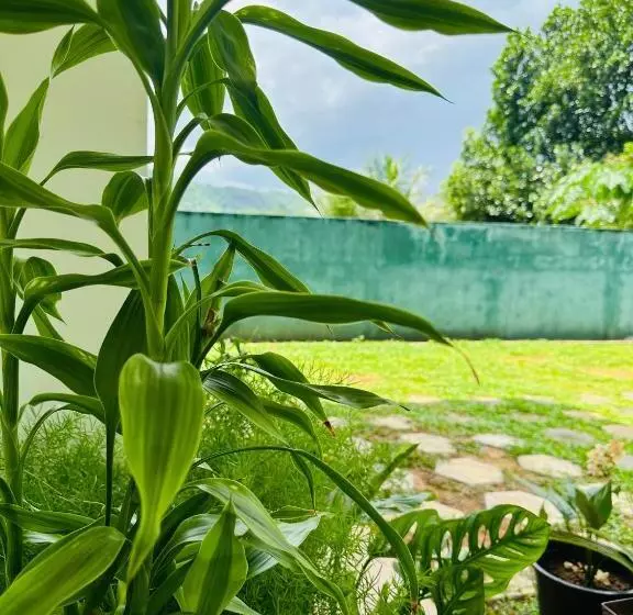 Pensão D Studio Villa