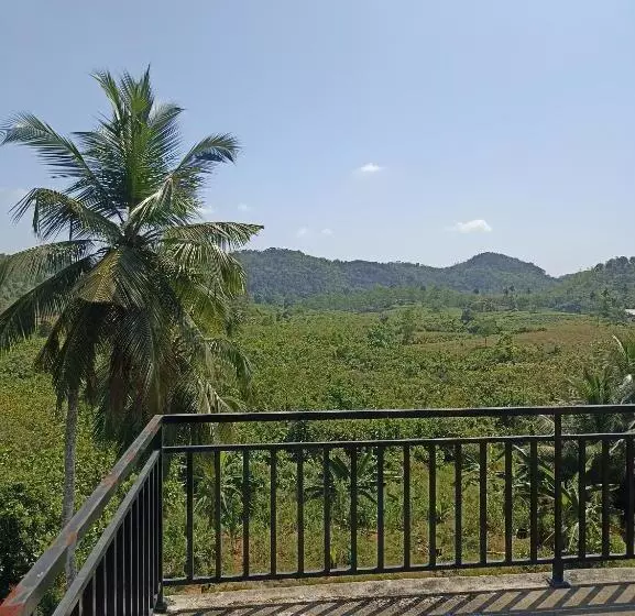Pensão D Studio Villa