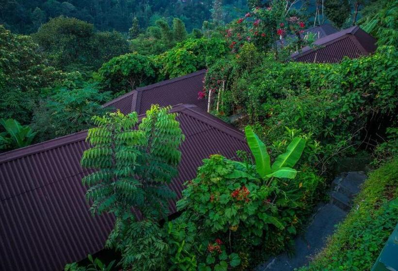 Курорт Ecotones Munnar By Eden Environs