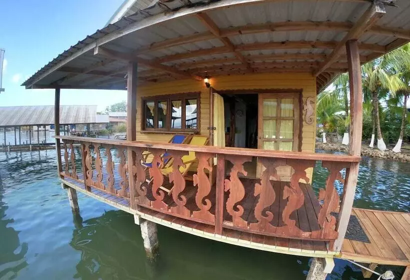 ホテル Koko Acqua Lodge
