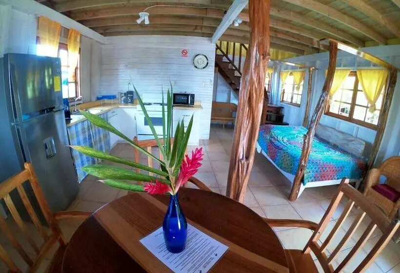 ホテル Koko Acqua Lodge