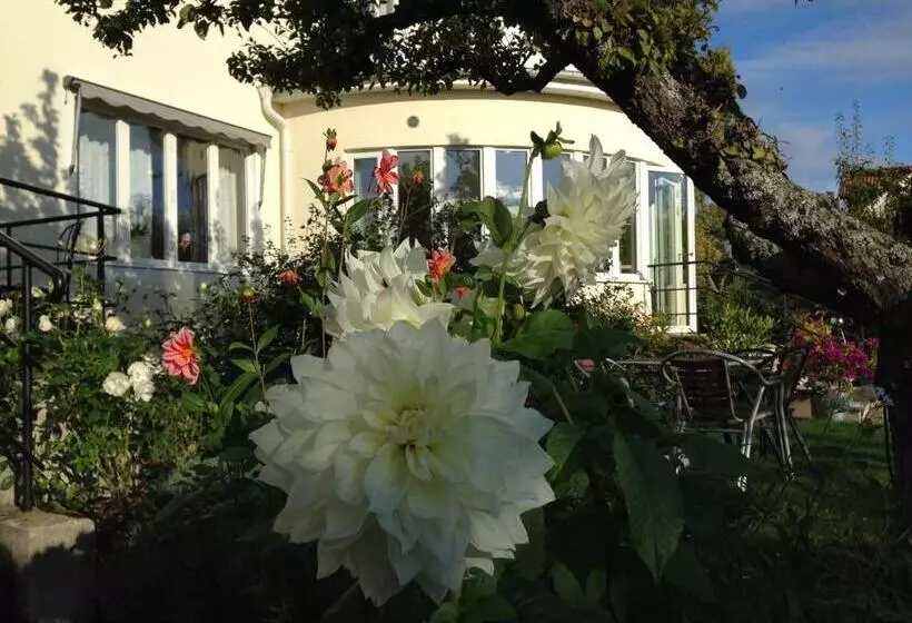 هتل Villa Ingrid