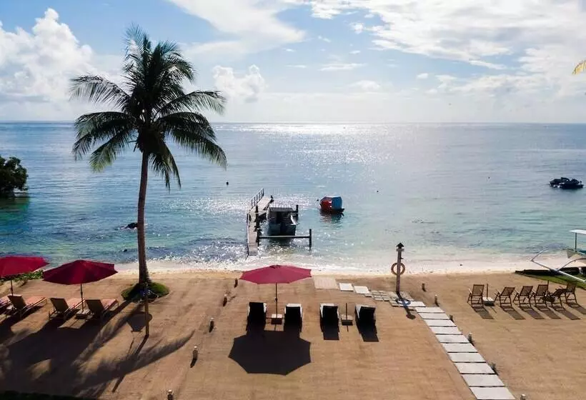 Reef Beach Resort