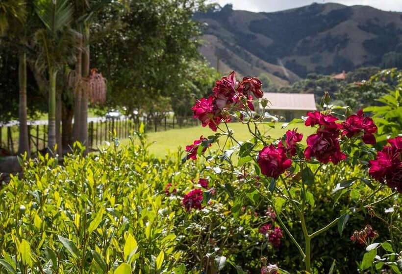 Taigh Na Mara Bed And Breakfast