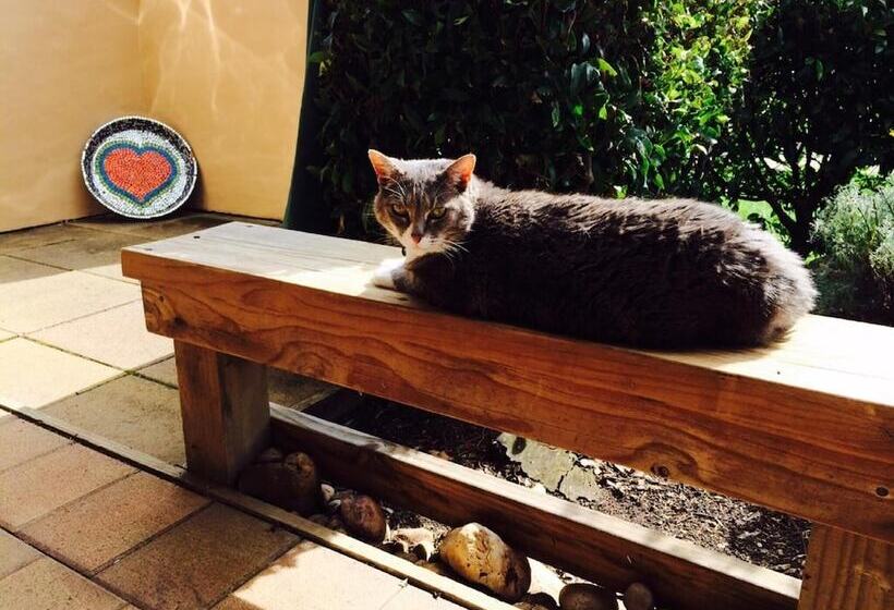 Taigh Na Mara Bed And Breakfast