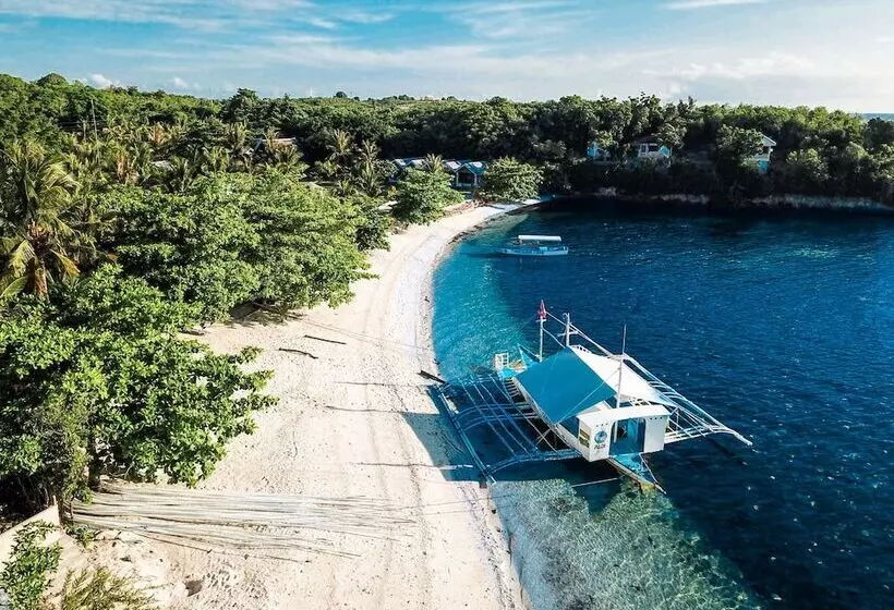 Thresher Cove Dive Resort