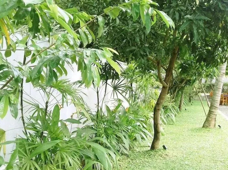 ペンション Adaviya Resort