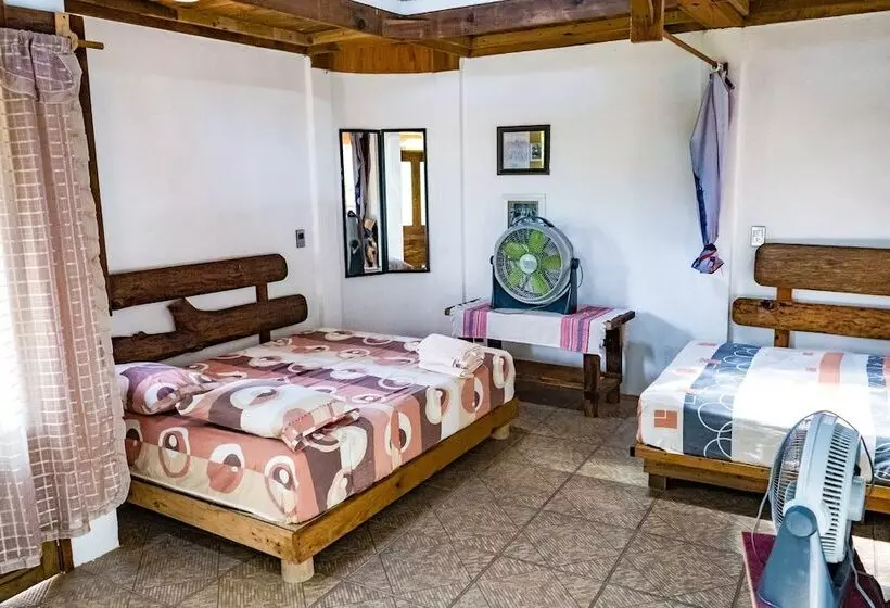 簡易ホテル Posada Los Jacalitos