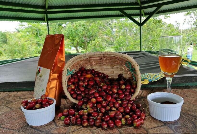 בית מלון כפרי Brugmansia Country