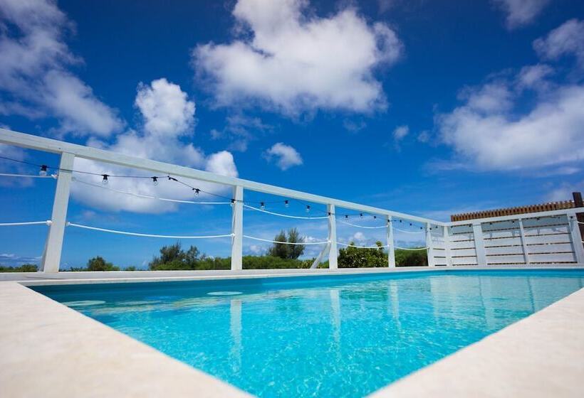 Crystal Park Hisamatsu