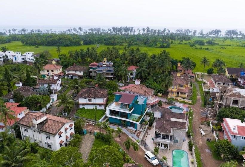 Kurort  Valley By Grassfield