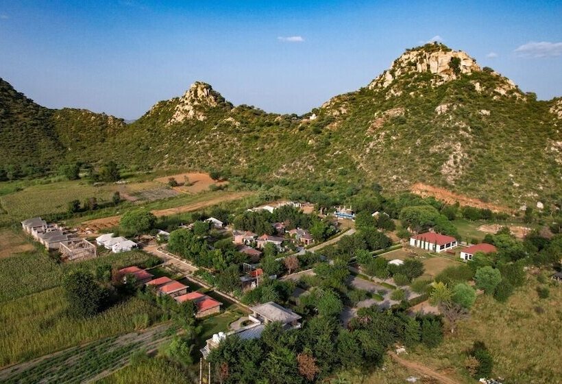 Kurort  Valley By Grassfield