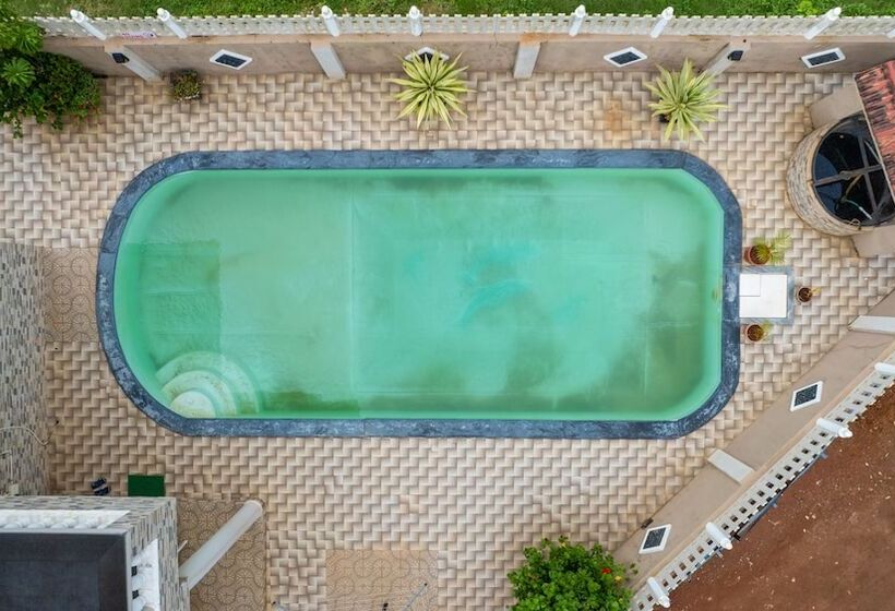 Kurort  Valley By Grassfield