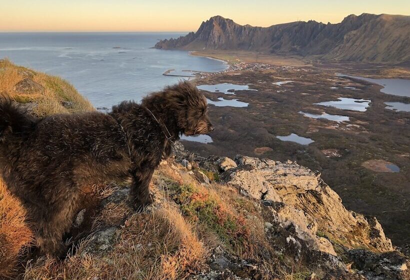 Курорт Midnattsol Rom Og Hytter