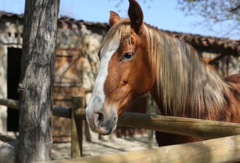 هتل Masia Can Rovira