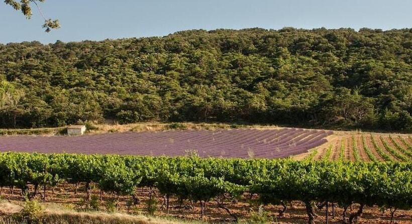 Hotel Auberge De L Escargot D Or