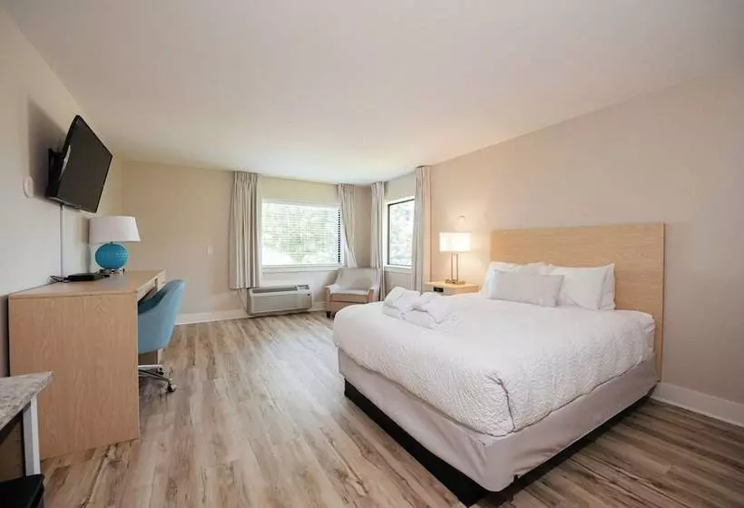 Kasa Gold Coast Inn Traverse City