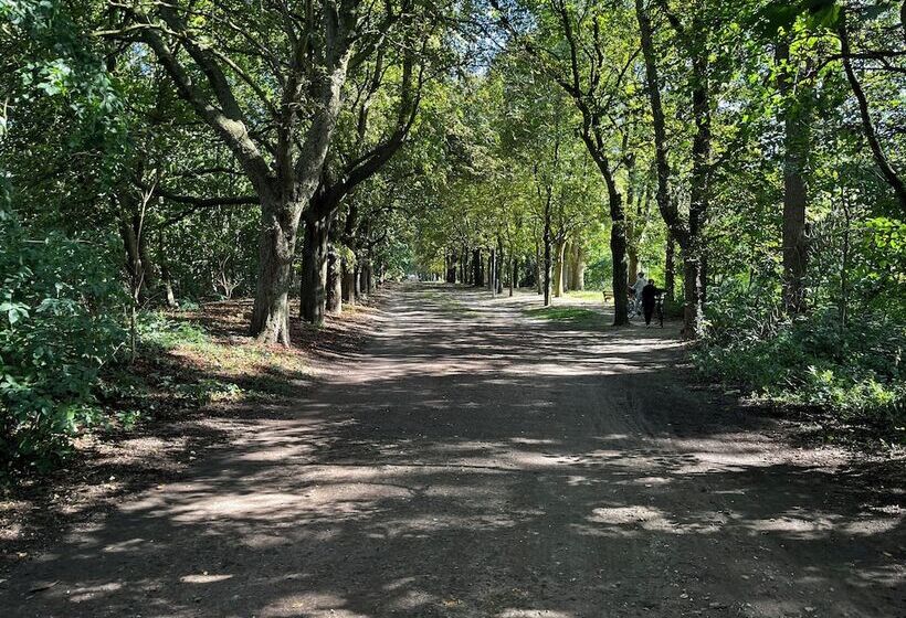 住宿加早餐 Hausnah