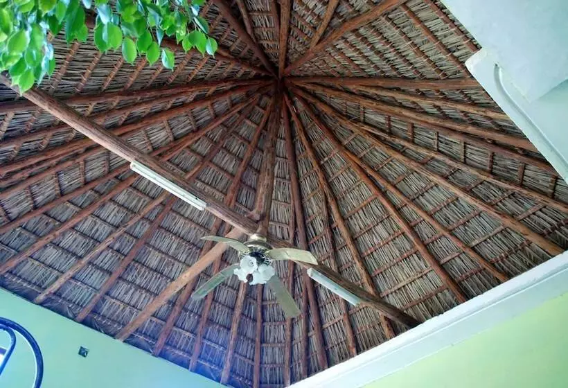 ペンション Cabana Del Sol - Ecological Farm
