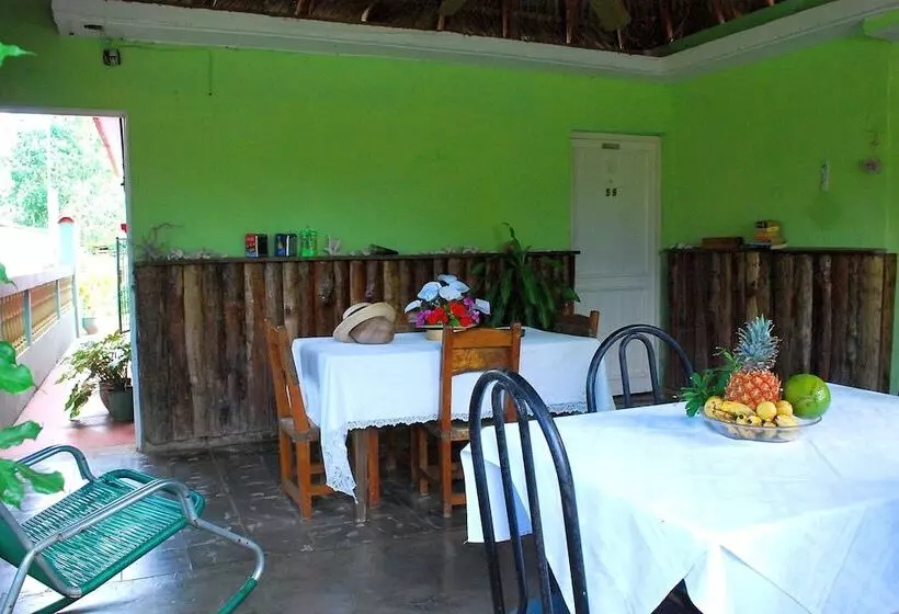 ペンション Cabana Del Sol - Ecological Farm