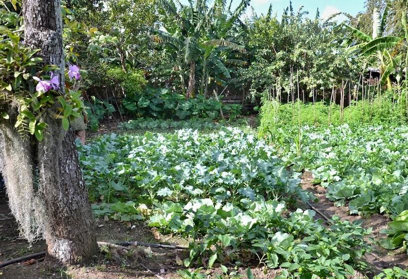 پانسیون Cabana Del Sol - Ecological Farm