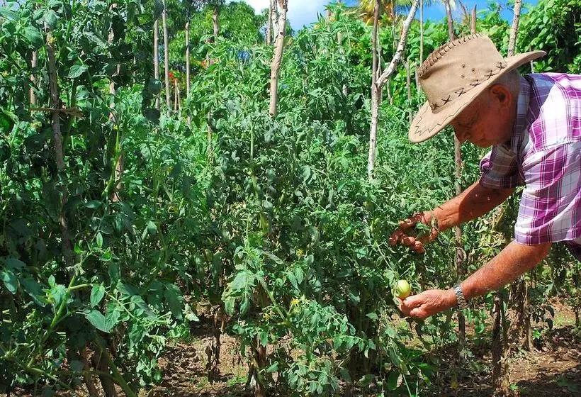 ペンション Cabana Del Sol - Ecological Farm