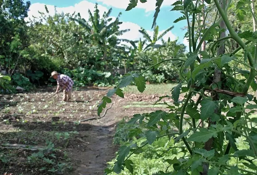 ペンション Cabana Del Sol - Ecological Farm