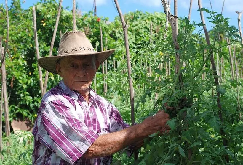 ペンション Cabana Del Sol - Ecological Farm