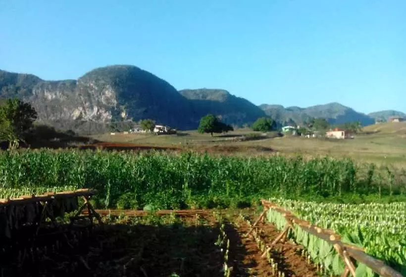 ペンション Cabana Del Sol - Ecological Farm