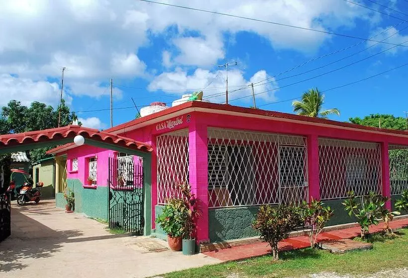 ペンション Cabana Del Sol - Ecological Farm