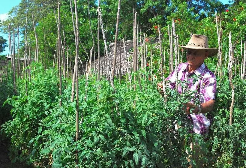 ペンション Cabana Del Sol - Ecological Farm