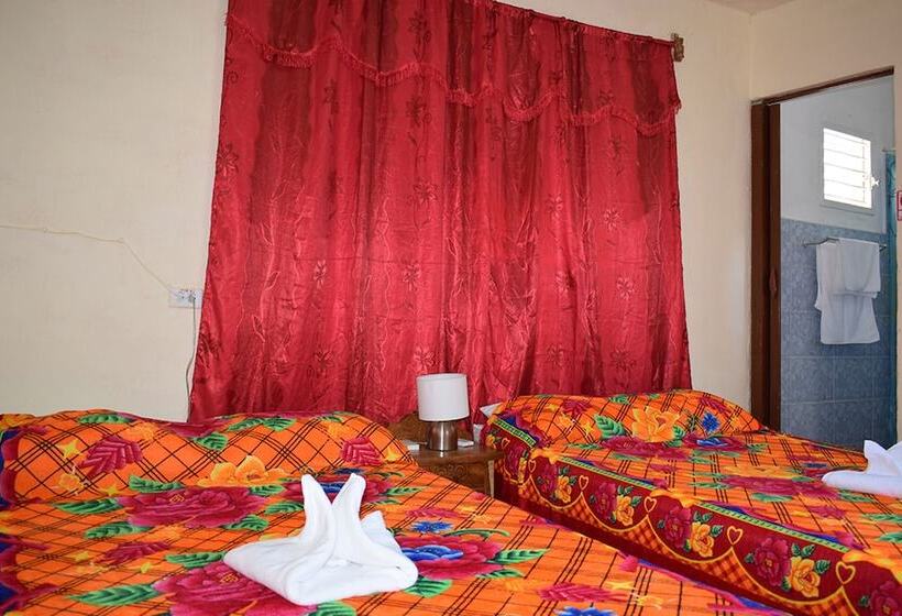 پانسیون Hostal Alcuria