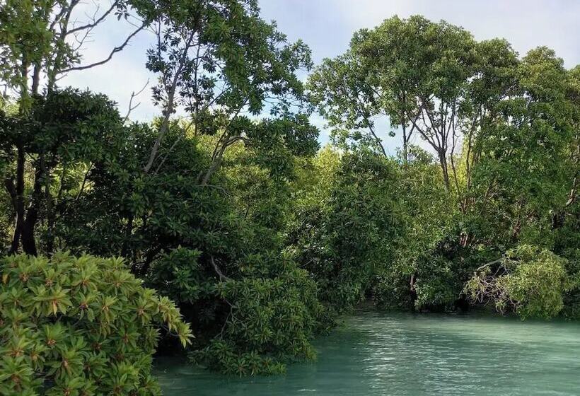 پانسیون Iruka Guesthouse