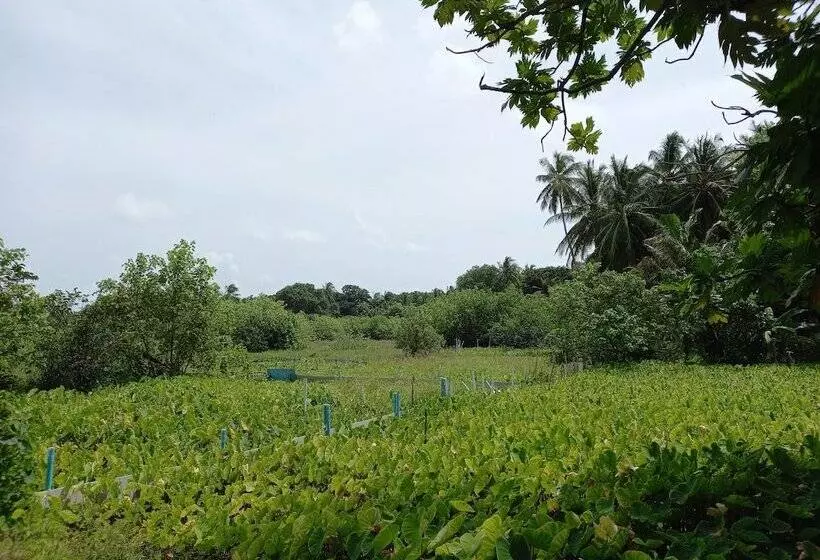 پانسیون Iruka Guesthouse