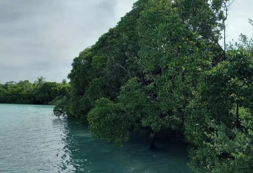 پانسیون Iruka Guesthouse