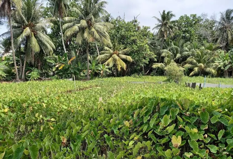 پانسیون Iruka Guesthouse