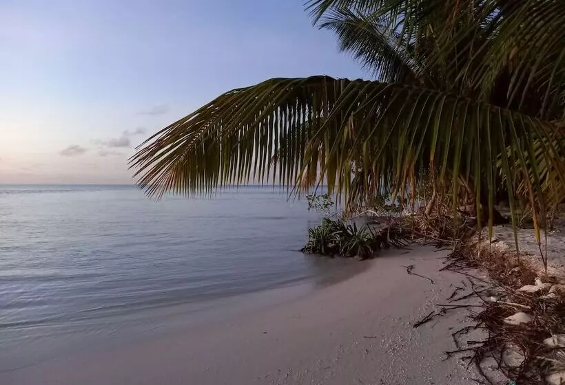 پانسیون Iruka Guesthouse