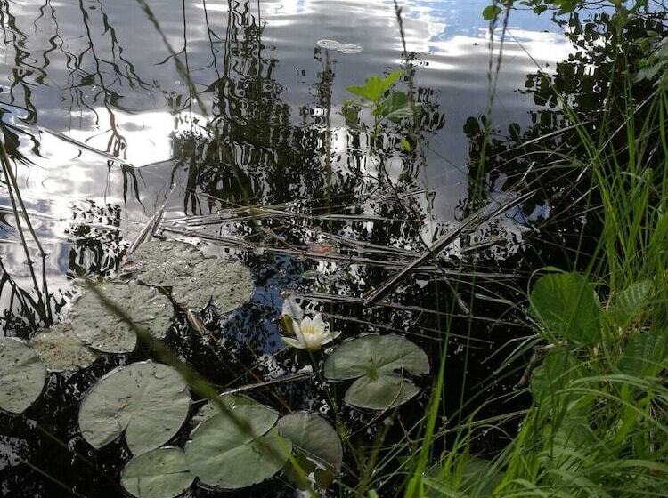 הוסטל Immalanjärvi