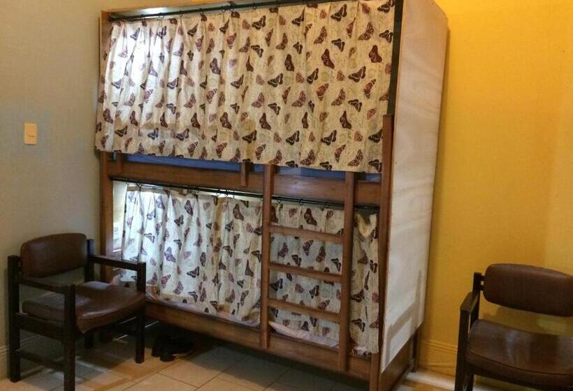 هاستل Isla Francia