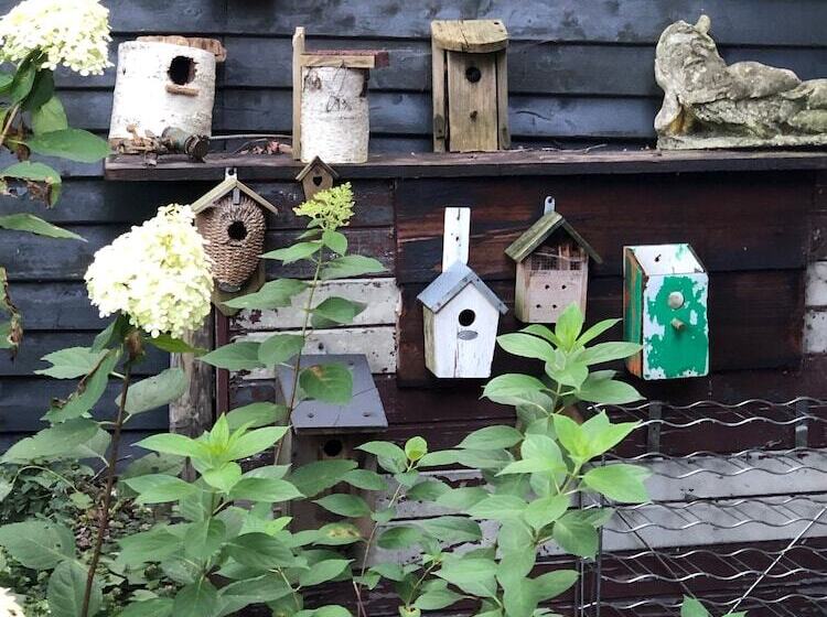 ベッドアンドブレックファースト Hof Van Eersel